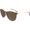 Glossy Blonde Tortoise Shell/Amber