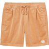 Katin - Cord Local Short - Men's - Brush