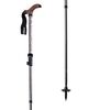 Mountainsmith - Globetrotter Trekking Pole - Single - Graphite