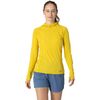 Yellow-poplar