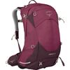 Elderberry Purple/Chiru Tan