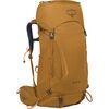 Osprey Packs - Kyte 38L Pack - Women's - Barley Brown
