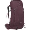 Elderberry Purple
