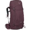 Elderberry Purple