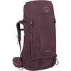Elderberry Purple