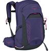 Deep Fig/Hotspot Pink