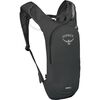 Raven Black