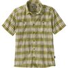Sunlight: Graze Green