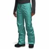 Patagonia - Powder Bowl Pant - Women's
