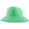 Aloe Green