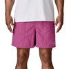 '95 Oval Logo: Faded Magenta