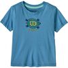 Island Turtle: Shore Blue