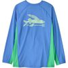 Flying Fish: Abundant Blue