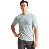 Dawn Grey Fall Line