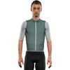 Balsam Green