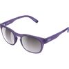 Sapphire Purple Translucent/Violet Silver Mirror