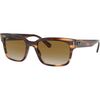 Shiny Striped Havana/Clear Gradient Brown