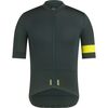 Dark Green/Chartreuse