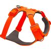 Blaze Orange