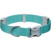 Aurora Teal