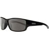 Black/Polarized Gray