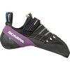 Black/Violet
