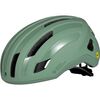 Willow Green