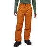 Buckthorn Brown