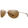 Gold/Polarized Brown
