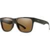 Charcoal/Polarized Brown