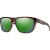 Tortoise/ChromaPop Glass Polarized Green Mirror