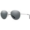 Silver/Polarized Grey