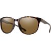 Tortoise/ChromaPop Polarized Brown