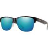 Tortoise/ChromaPop Polarized Brown