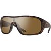Matte Tortoise/ChromaPop Polarized Brown