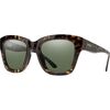 Alpine Tortoise/ChromaPop Polar Gray Green