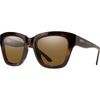 Tortoise/ChromaPop Polar Brown