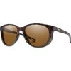 AK Matt Forest Tort/ChromPop Pol Brown