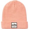 Wild Salmon