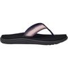 Archive Topo Lupine