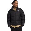 Recycled TNF Black/NPF