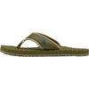 Forest Olive/Forest Olive