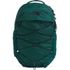 Deep Nori/TNF Black