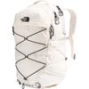 Gardenia White/TNF Black-NPF