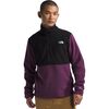The North Face - Alpine Polartec 100 1/2-Zip Jacket - Men's