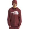 The North Face - Tekno Logo Hoodie - Men's - Sumac