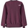 The North Face - Evolution Oversized Crew Sweatshirt - Women's