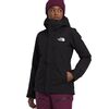 TNF Black/NPF