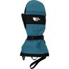 The North Face - Montana Ski Mitten - Men's