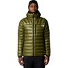 Forest Olive